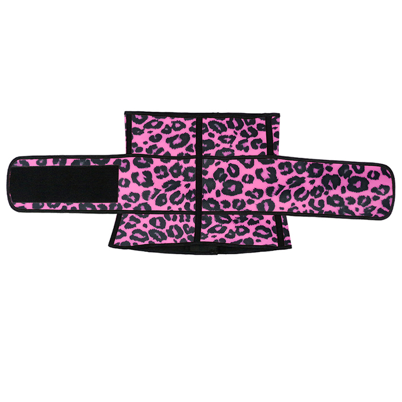 Leopard Pink Single Belt Hooks Waist Trainer MH1770PL
