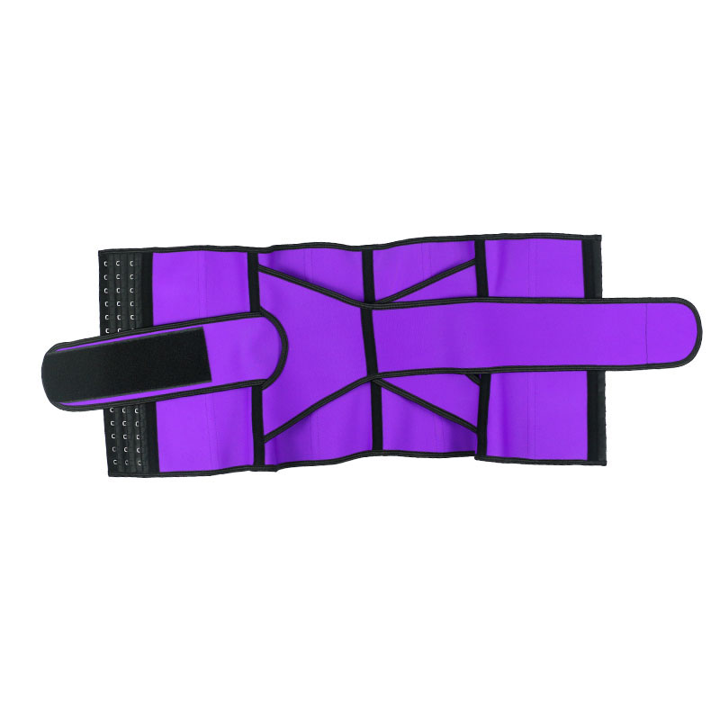 Purple V-shaped Single Belt Hook Curved Waist Trainer