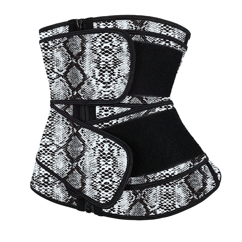 Latex Double Belt with Snake Print MH1949CP